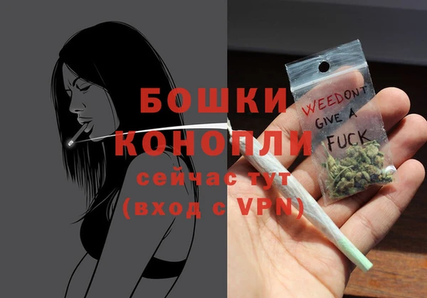 крисы Нея