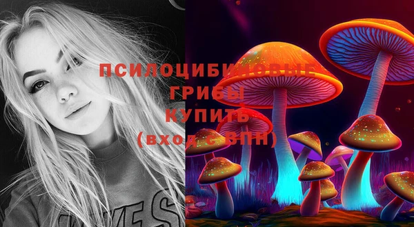 бошки Нефтекумск