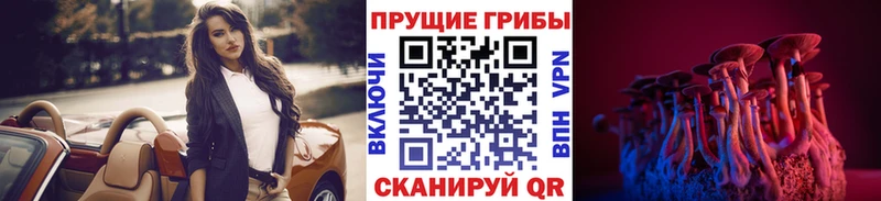 Псилоцибиновые грибы прущие грибы  купить закладку  Россошь 
