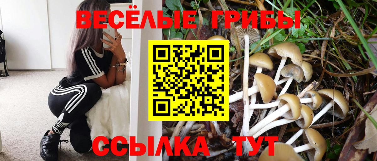 Галлюциногенные грибы Psilocybine cubensis  Галлюциногенные грибы Psilocybe  Вход с VPN  хочу   Россошь 